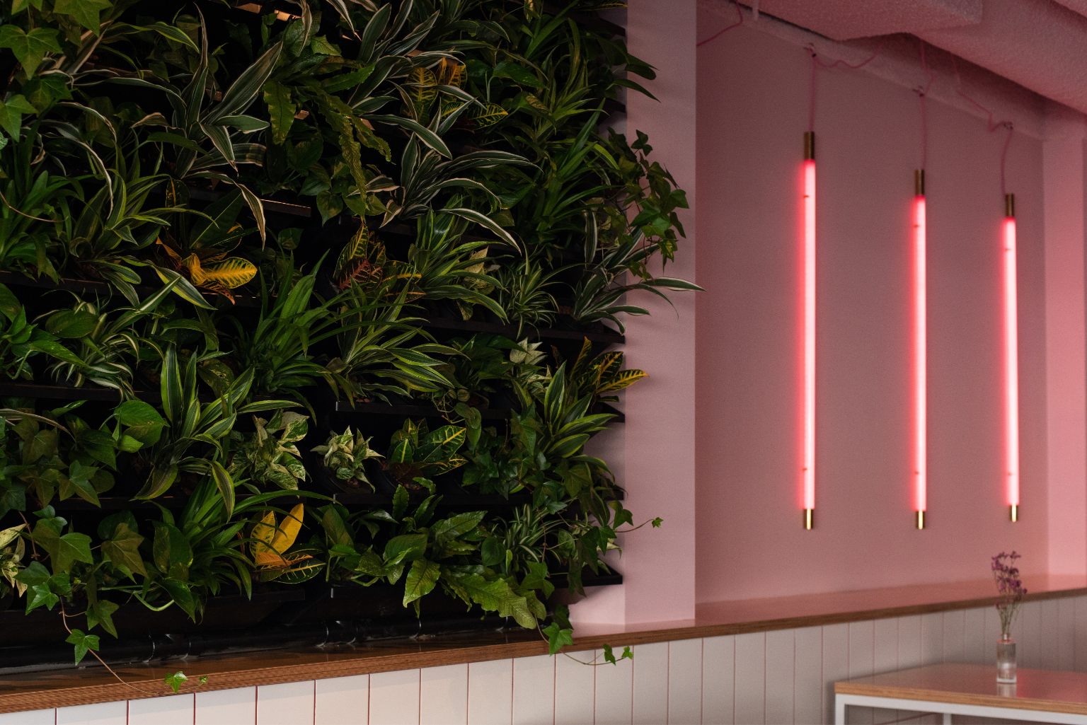 About Conscious Hotels - Green Plant Wall - Over Conscious Hotels Groene planten Muur